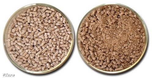 Curated visual reference: Picture Idea: Pegase Research Unit Homepage Feeding Non Ruminants A High Fat
