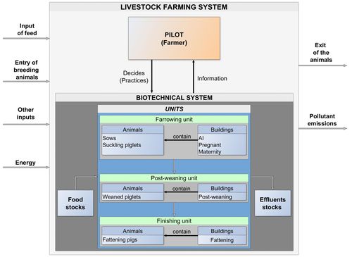 Descriptive diagram of pigs livestock farming system